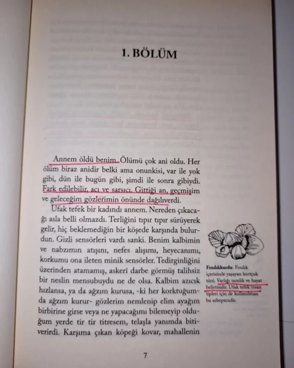 Akın Çokuğurluel- Kırık Şeyler Ansiklopedisi - Görsel 5